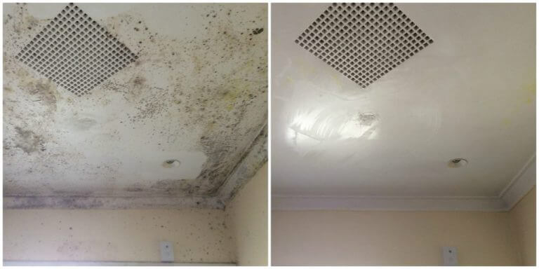Mister Mould Bathroom mould removal