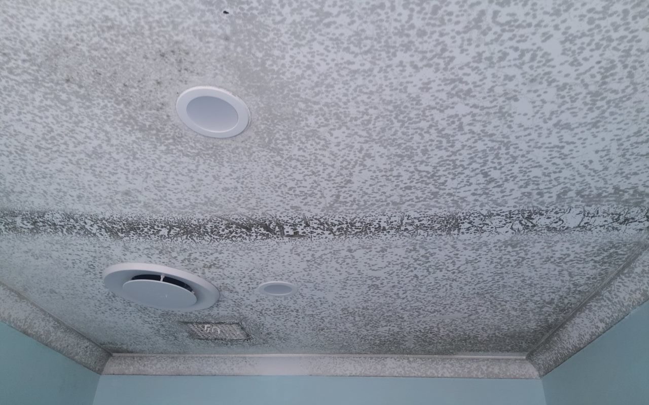 Heavy Bathroom Mould Mister Mould Perth